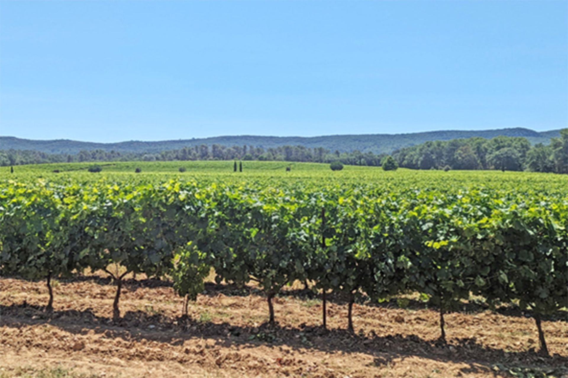 propriété viticole 30 Pièces en vente sur AIX EN PROVENCE (13100)