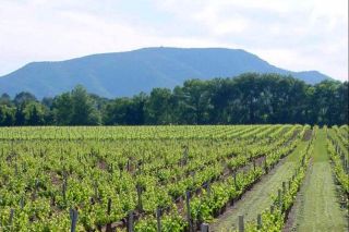 propriété viticole 30 Pièces en vente sur AIX EN PROVENCE (13100)