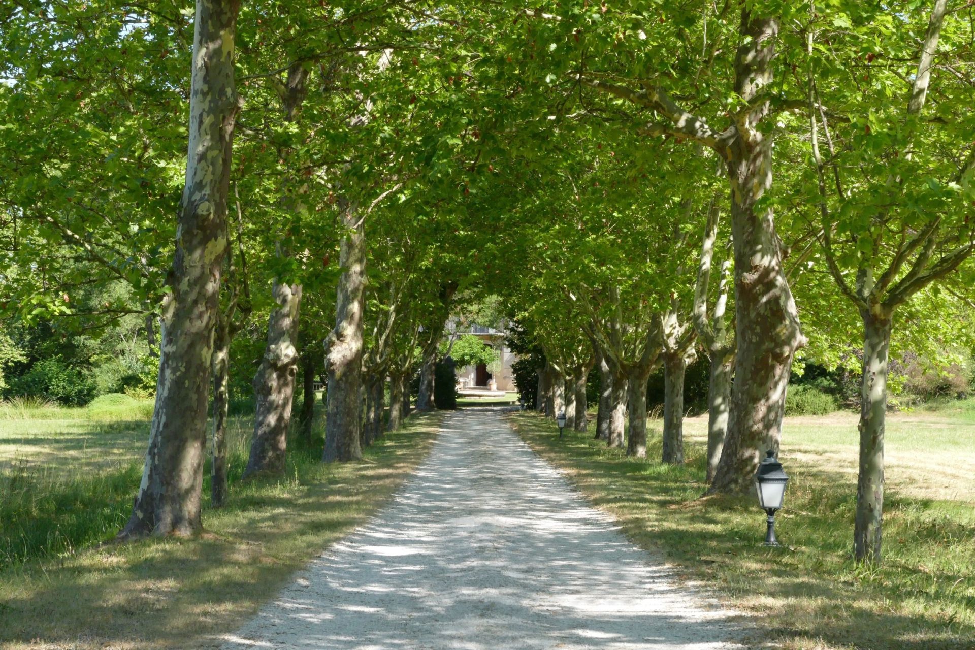 house 20 Rooms for sale on BRIGNOLES (83170)