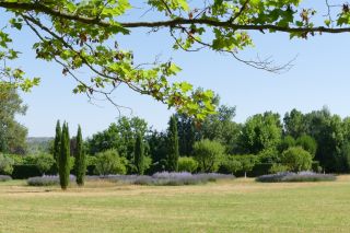 house 20 Rooms for sale on BRIGNOLES (83170)