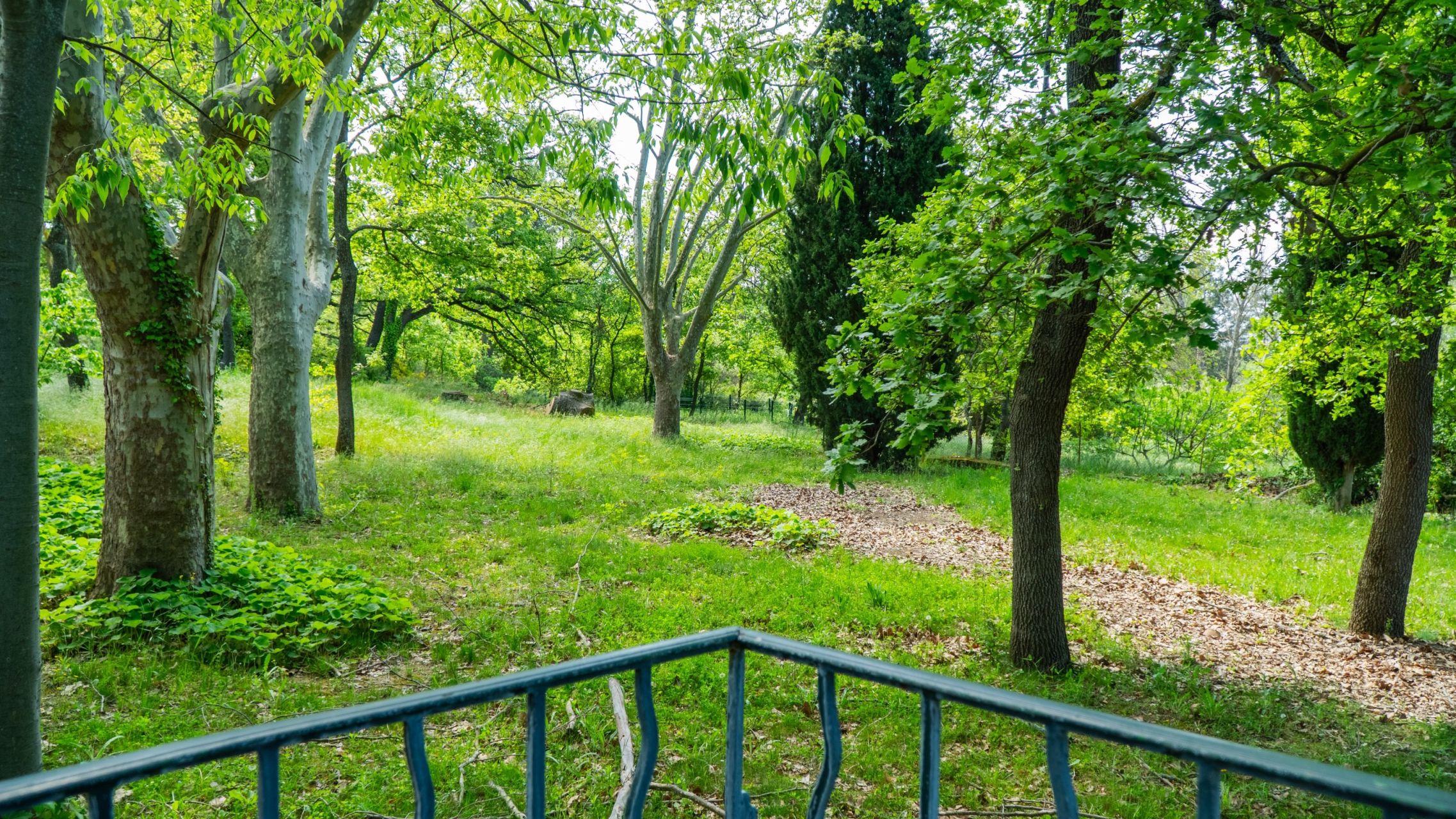 maison 36 Pièces en vente sur AIX EN PROVENCE (13540)