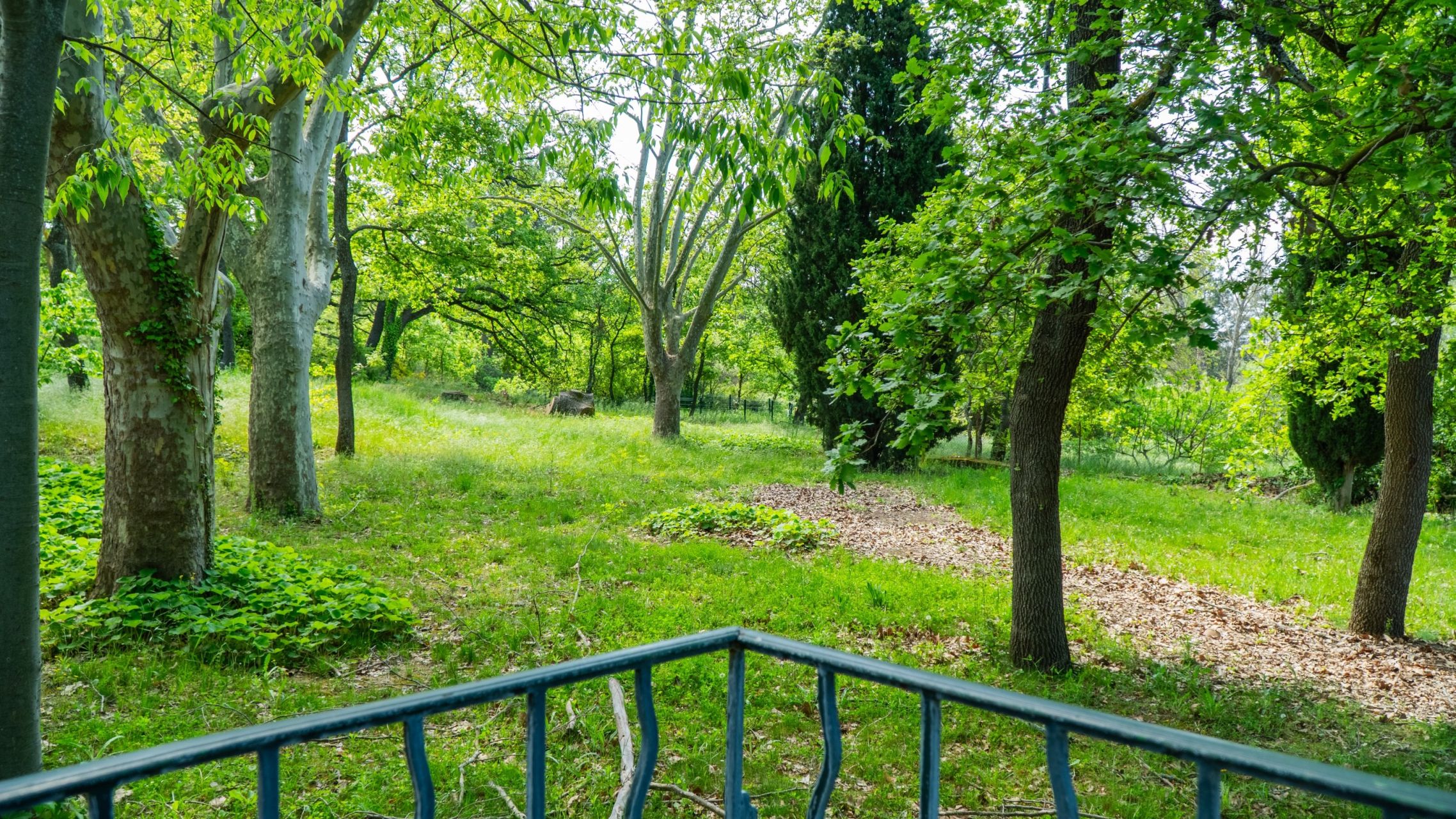 maison 36 Pièces en vente sur AIX EN PROVENCE (13100)