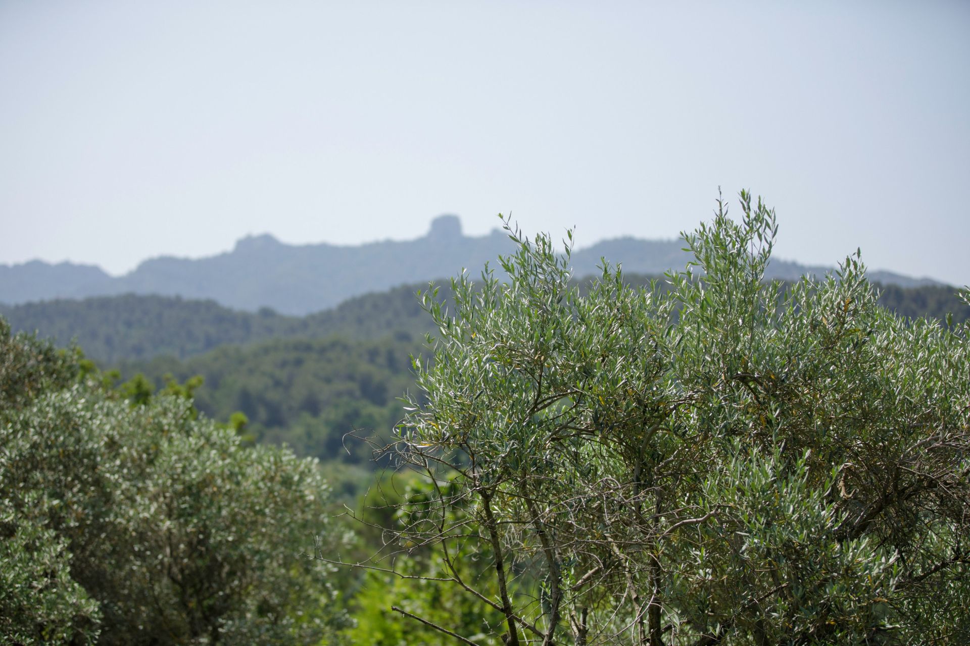 maison 7 Pièces en vente sur AIX EN PROVENCE (13100)