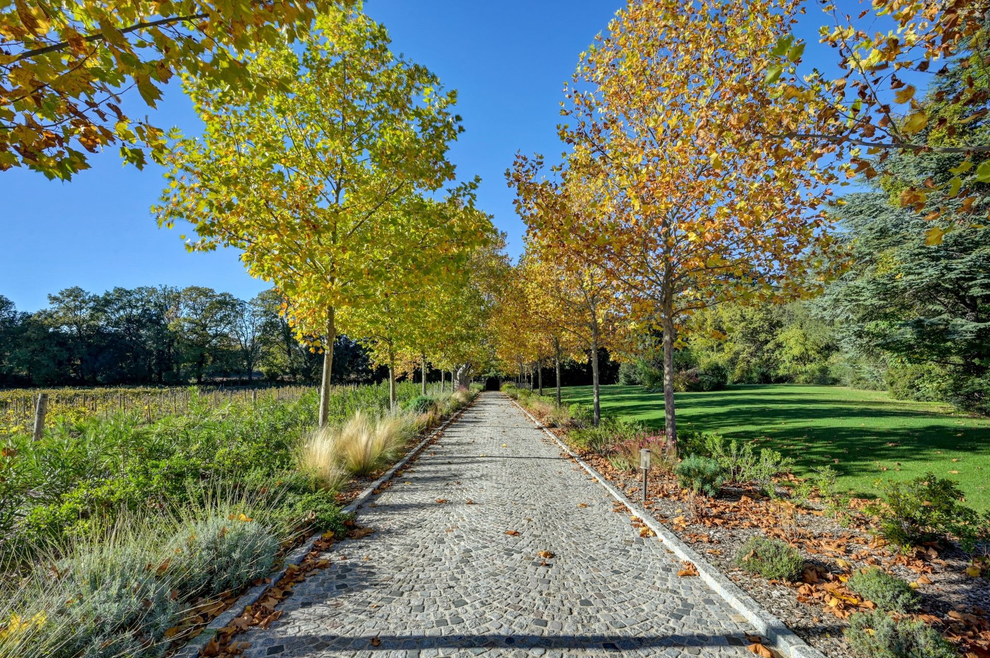 maison 12 Pièces en vente sur AIX EN PROVENCE (13100)