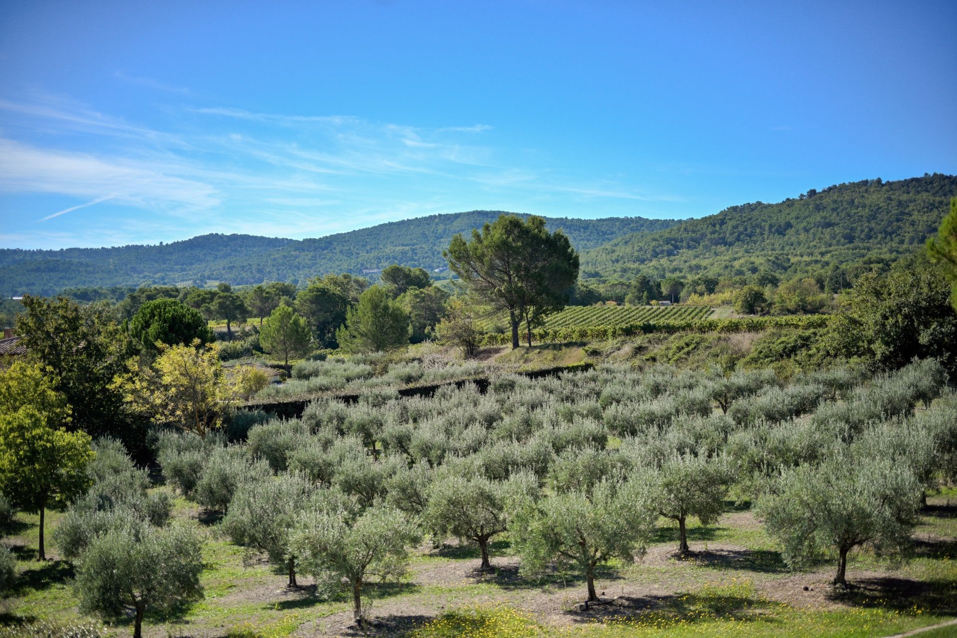 bastide 9 Rooms for seasonal rent on LE PUY STE REPARADE (13610)