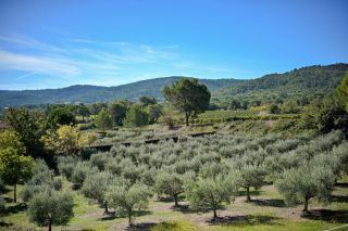 bastide 9 Pièces en location saisonnière sur LE PUY STE REPARADE (13610)