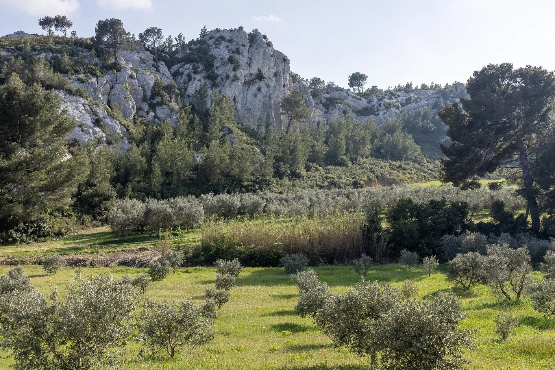 mas 10 Pièces en location saisonnière sur MAUSSANE LES ALPILLES (13520)