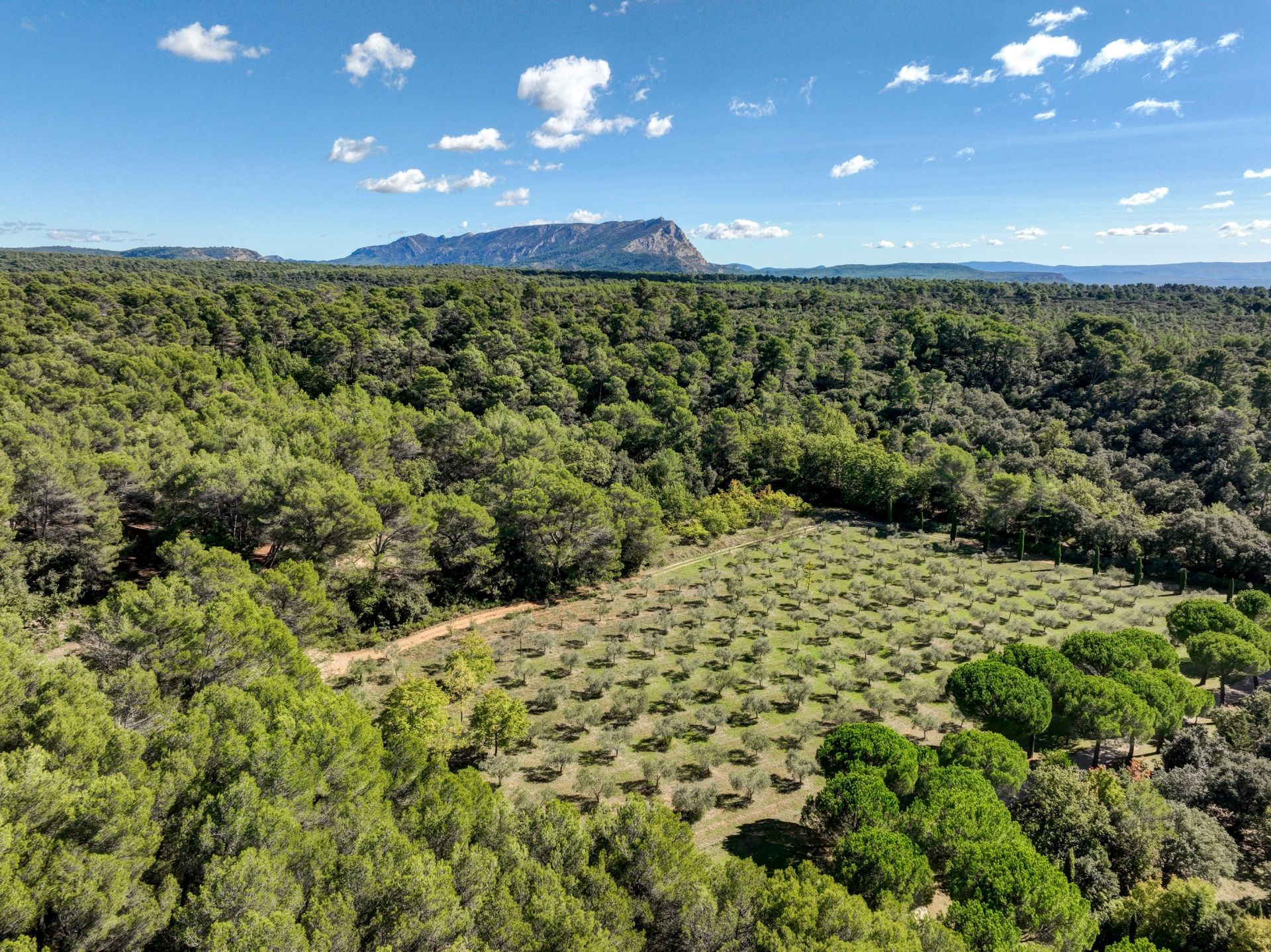 maison 16 Pièces en vente sur AIX EN PROVENCE (13100)