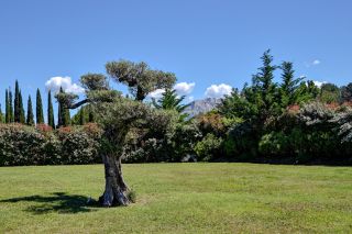house 9 Rooms for sale on MEYREUIL (13590)