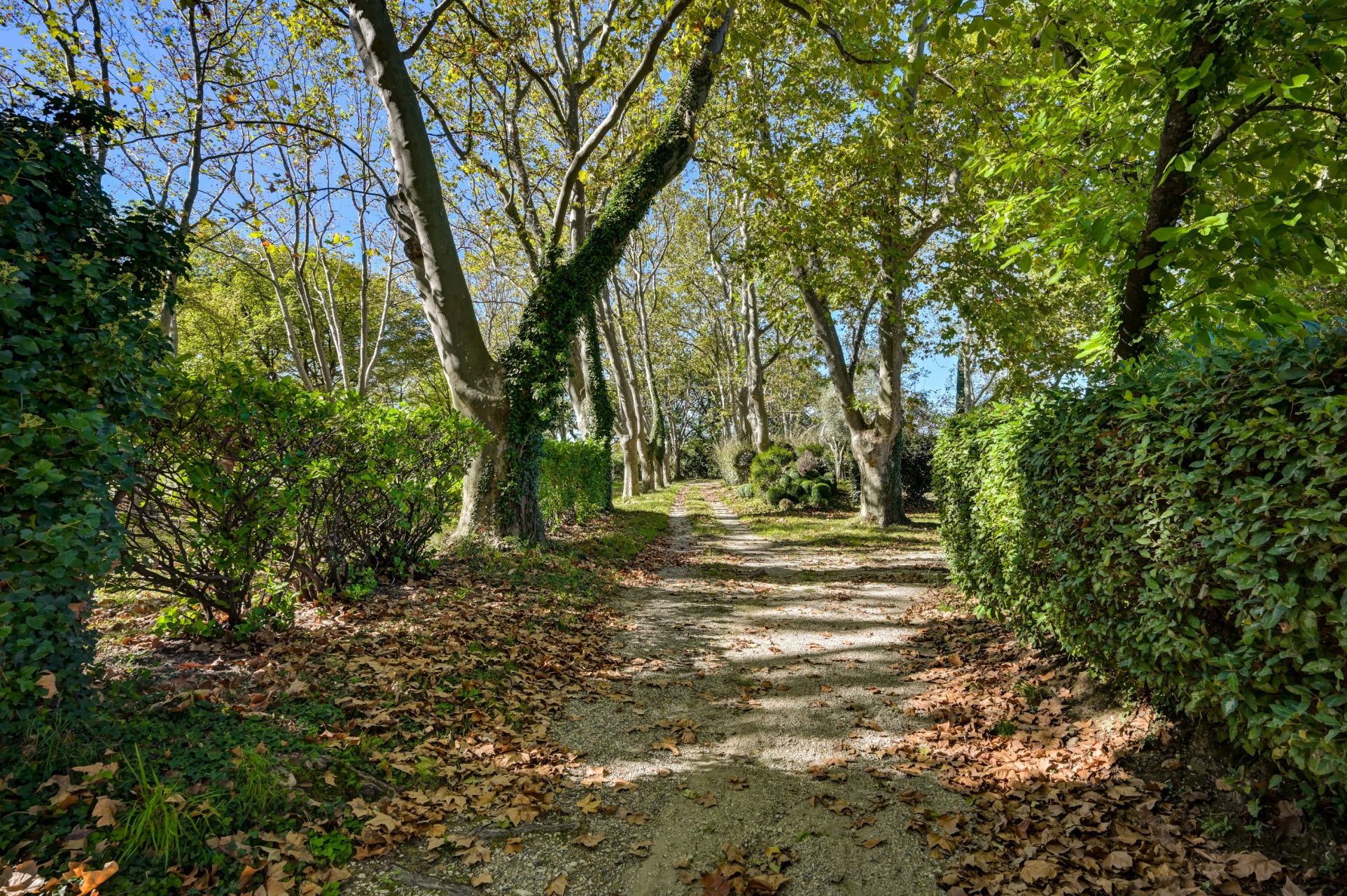 maison 10 Pièces en vente sur AIX EN PROVENCE (13100)