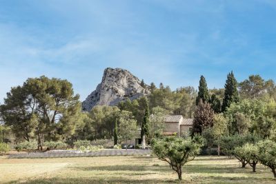 Rental Mas Saint-Rémy-de-Provence 6 Rooms 250 m²