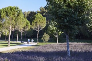 house 17 Rooms for seasonal rent on AIX EN PROVENCE (13100)