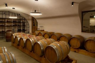 bastide 10 Rooms for seasonal rent on ST MAXIMIN LA STE BAUME (83470)