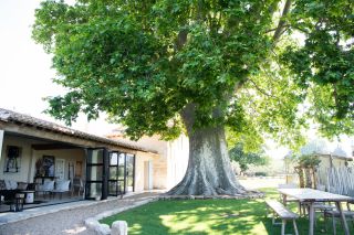 mas 10 Rooms for seasonal rent on ARLES (13200)