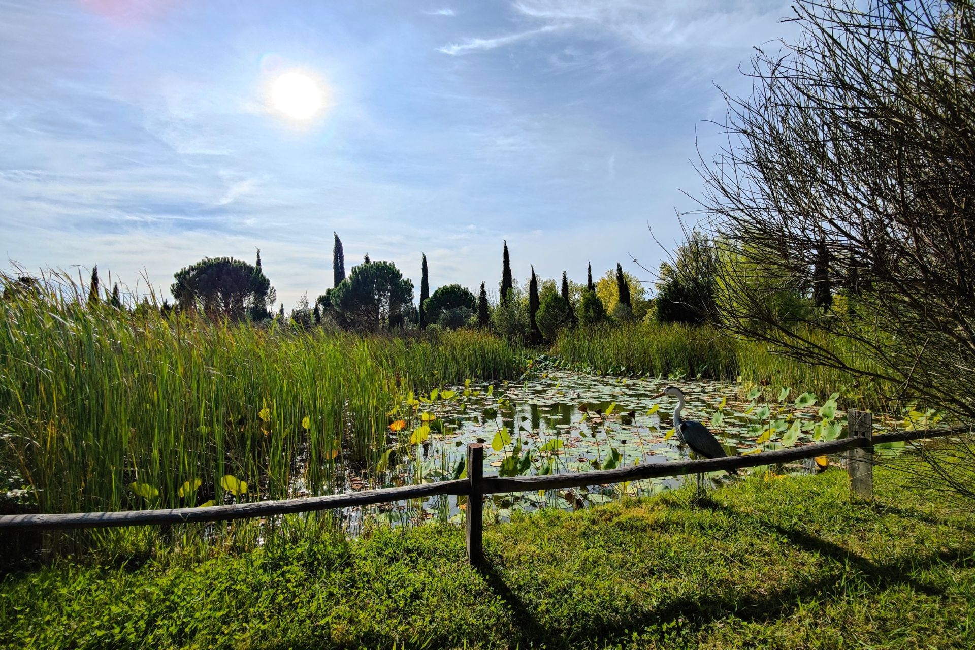 mas 11 Rooms for seasonal rent on ST REMY DE PROVENCE (13210)