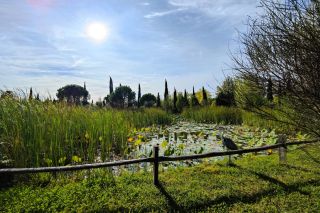 mas 11 Rooms for seasonal rent on ST REMY DE PROVENCE (13210)