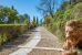 house 15 Rooms for sale on LE THOLONET (13100)