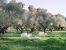 mas 10 Rooms for seasonal rent on ST REMY DE PROVENCE (13210)