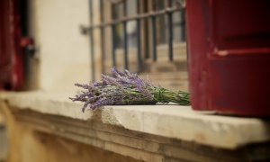 Confiez-nous votre recherche